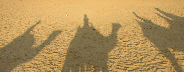 camels-shadows